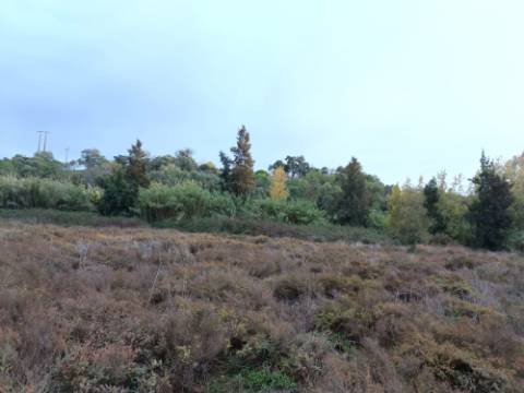 TERRENO RUSTICO COM 9.400 M2 JUNTO A ESTAÇÃO DE COMBOIO DE CASTRO MARIM - ALGARVE