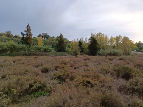 TERRENO RUSTICO COM 9.400 M2 JUNTO A ESTAÇÃO DE COMBOIO DE CASTRO MARIM - ALGARVE