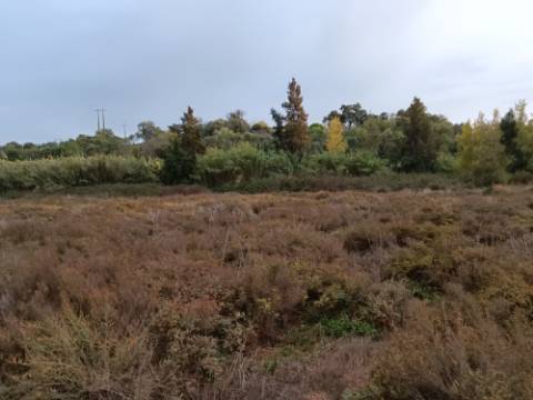 TERRENO RUSTICO COM 9.400 M2 JUNTO A ESTAÇÃO DE COMBOIO DE CASTRO MARIM - ALGARVE