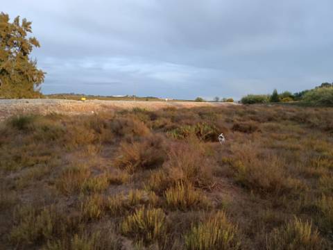 TERRENO RUSTICO COM 9.400 M2 JUNTO A ESTAÇÃO DE COMBOIO DE CASTRO MARIM - ALGARVE