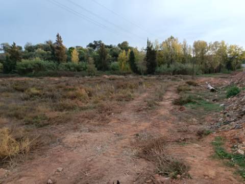 TERRENO RUSTICO COM 9.400 M2 JUNTO A ESTAÇÃO DE COMBOIO DE CASTRO MARIM - ALGARVE