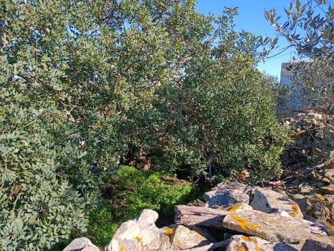 MORADIA EM PEDRA, RUINA COM TERRENO DE 230 M2 - BALURCOS - ALCOUTIM - ALGARVE