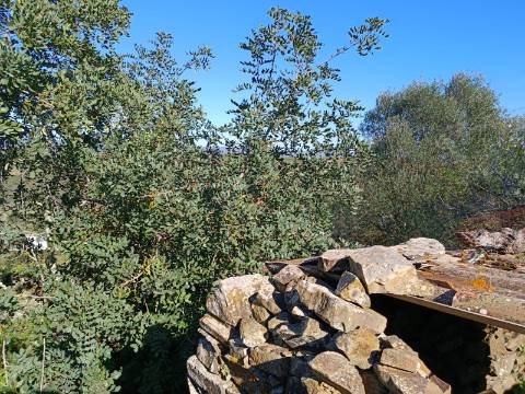 MORADIA EM PEDRA, RUINA COM TERRENO DE 230 M2 - BALURCOS - ALCOUTIM - ALGARVE