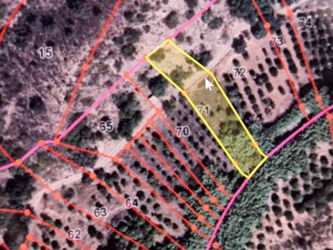 TERRENO RÚSTICO COM 1.180 M2 COM LARANJEIRAS - COM ÁGUA DE REGA - PRÓXIMO DA JUNQUEIRA EM CASTRO MARIM - ALGARVE