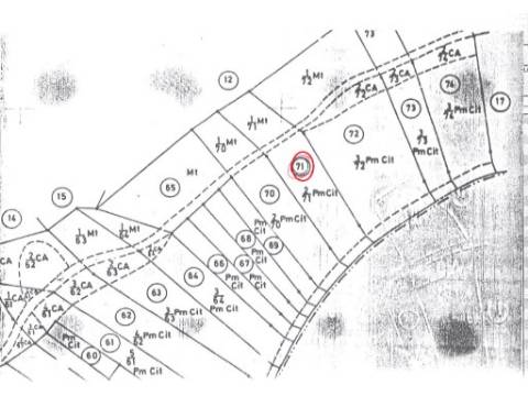 TERRENO RÚSTICO COM 1.180 M2 COM LARANJEIRAS - COM ÁGUA DE REGA - PRÓXIMO DA JUNQUEIRA EM CASTRO MARIM - ALGARVE