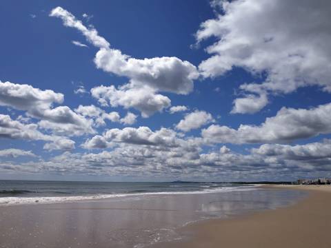 TERRENO RÚSTICO COM 1.180 M2 COM LARANJEIRAS - COM ÁGUA DE REGA - PRÓXIMO DA JUNQUEIRA EM CASTRO MARIM - ALGARVE