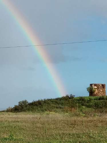 TERRENO RÚSTICO COM 1.180 M2 COM LARANJEIRAS - COM ÁGUA DE REGA - PRÓXIMO DA JUNQUEIRA EM CASTRO MARIM - ALGARVE