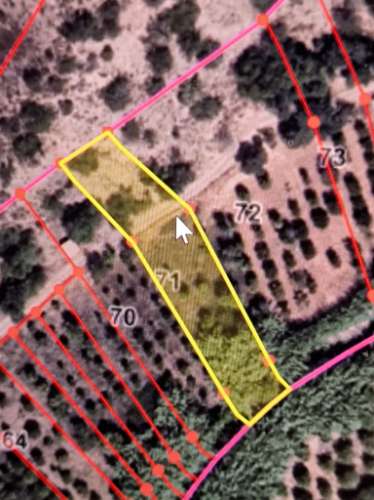 TERRENO RÚSTICO COM 1.180 M2 COM LARANJEIRAS - COM ÁGUA DE REGA - PRÓXIMO DA JUNQUEIRA EM CASTRO MARIM - ALGARVE