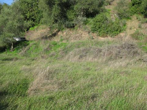 TERRENO RÚSTICO COM 1.180 M2 COM LARANJEIRAS - COM ÁGUA DE REGA - PRÓXIMO DA JUNQUEIRA EM CASTRO MARIM - ALGARVE