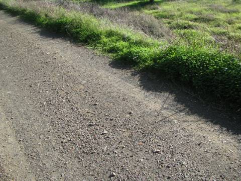 TERRENO RÚSTICO COM 1.180 M2 COM LARANJEIRAS - COM ÁGUA DE REGA - PRÓXIMO DA JUNQUEIRA EM CASTRO MARIM - ALGARVE