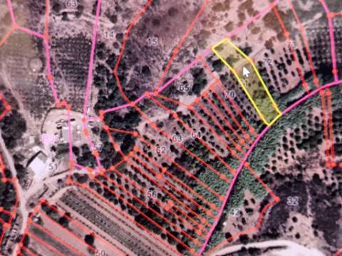 TERRENO RÚSTICO COM 1.180 M2 COM LARANJEIRAS - COM ÁGUA DE REGA - PRÓXIMO DA JUNQUEIRA EM CASTRO MARIM - ALGARVE