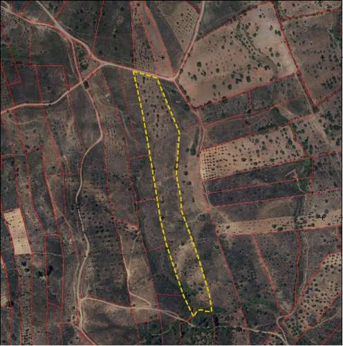 Terreno Rústico Porto Carvalhoso