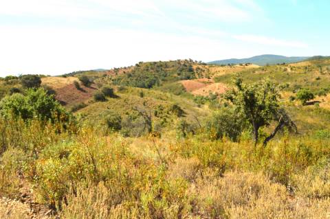 Terreno Rústico Porto Carvalhoso