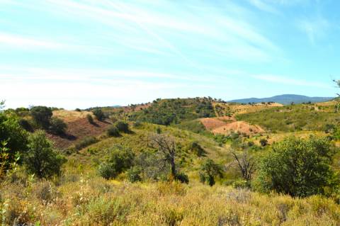 Terreno Rústico Porto Carvalhoso