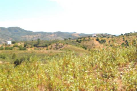 Terreno Rústico Porto Carvalhoso