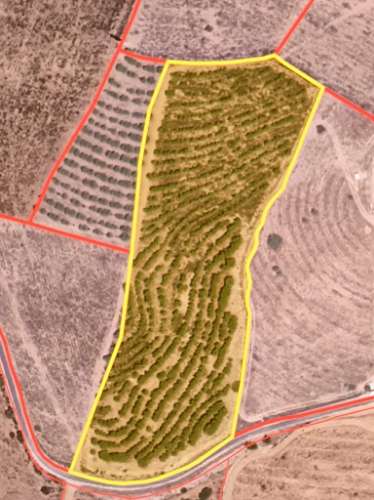 TERRENO COM 16.000 M2 - PLANO - ELETRICIDADE - TORNEIRO EM ALCOUTIM - ALGARVE