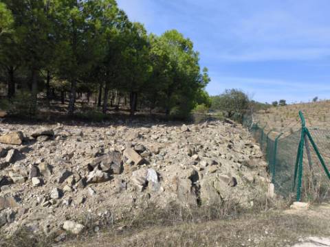 TERRENO COM 16.000 M2 - PLANO - ELETRICIDADE - TORNEIRO EM ALCOUTIM - ALGARVE