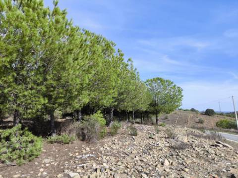 TERRENO COM 16.000 M2 - PLANO - ELETRICIDADE - TORNEIRO EM ALCOUTIM - ALGARVE