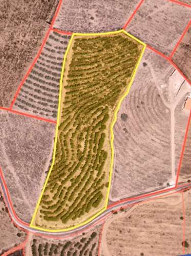 TERRENO COM 16.000 M2 - PLANO - ELETRICIDADE - TORNEIRO EM ALCOUTIM - ALGARVE