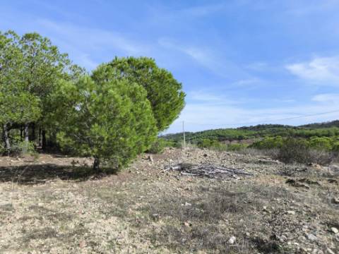 TERRENO COM 16.000 M2 - PLANO - ELETRICIDADE - TORNEIRO EM ALCOUTIM - ALGARVE