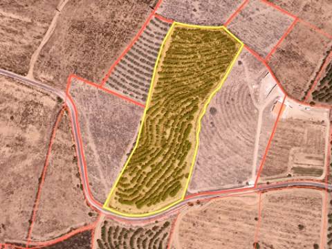 TERRENO COM 16.000 M2 - PLANO - ELETRICIDADE - TORNEIRO EM ALCOUTIM - ALGARVE