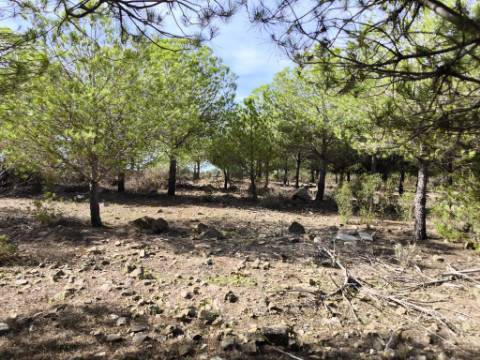 TERRENO COM 16.000 M2 - PLANO - ELETRICIDADE - TORNEIRO EM ALCOUTIM - ALGARVE