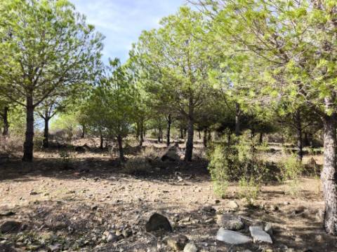 TERRENO COM 16.000 M2 - PLANO - ELETRICIDADE - TORNEIRO EM ALCOUTIM - ALGARVE