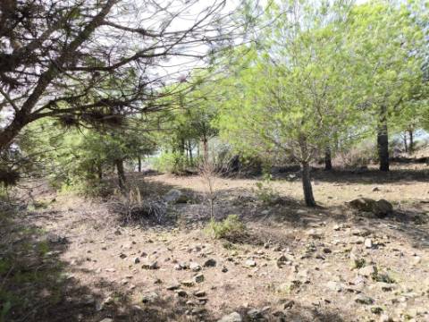 TERRENO COM 16.000 M2 - PLANO - ELETRICIDADE - TORNEIRO EM ALCOUTIM - ALGARVE