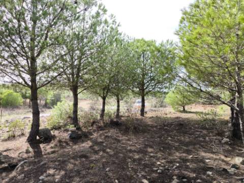 TERRENO COM 16.000 M2 - PLANO - ELETRICIDADE - TORNEIRO EM ALCOUTIM - ALGARVE