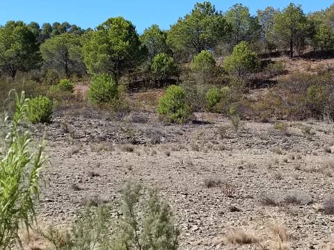 TERRENO COM 83.240 M2 - JUNTO A RIBEIRA DE ODELEITE - POSSIBILIDADE DE CONSTRUÇÃO RESIDENCIA E TURISMO EM GALAXES - VAQUEIROS - ALCOUTIM