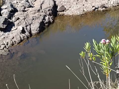 TERRENO COM 83.240 M2 - JUNTO A RIBEIRA DE ODELEITE - POSSIBILIDADE DE CONSTRUÇÃO RESIDENCIA E TURISMO EM GALAXES - VAQUEIROS - ALCOUTIM