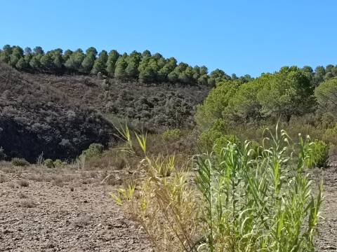 TERRENO COM 83.240 M2 - JUNTO A RIBEIRA DE ODELEITE - POSSIBILIDADE DE CONSTRUÇÃO RESIDENCIA E TURISMO EM GALAXES - VAQUEIROS - ALCOUTIM