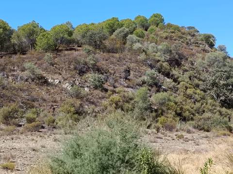 TERRENO COM 83.240 M2 - JUNTO A RIBEIRA DE ODELEITE - POSSIBILIDADE DE CONSTRUÇÃO RESIDENCIA E TURISMO EM GALAXES - VAQUEIROS - ALCOUTIM