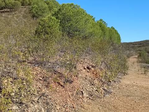 TERRENO COM 83.240 M2 - JUNTO A RIBEIRA DE ODELEITE - POSSIBILIDADE DE CONSTRUÇÃO RESIDENCIA E TURISMO EM GALAXES - VAQUEIROS - ALCOUTIM