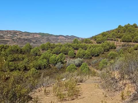 TERRENO COM 83.240 M2 - JUNTO A RIBEIRA DE ODELEITE - POSSIBILIDADE DE CONSTRUÇÃO RESIDENCIA E TURISMO EM GALAXES - VAQUEIROS - ALCOUTIM