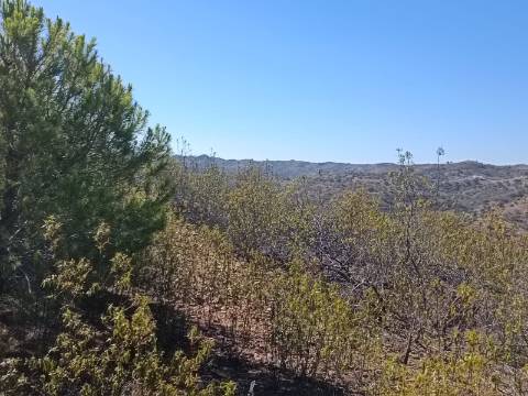 TERRENO COM 83.240 M2 - JUNTO A RIBEIRA DE ODELEITE - POSSIBILIDADE DE CONSTRUÇÃO RESIDENCIA E TURISMO EM GALAXES - VAQUEIROS - ALCOUTIM