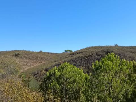 TERRENO COM 83.240 M2 - JUNTO A RIBEIRA DE ODELEITE - POSSIBILIDADE DE CONSTRUÇÃO RESIDENCIA E TURISMO EM GALAXES - VAQUEIROS - ALCOUTIM