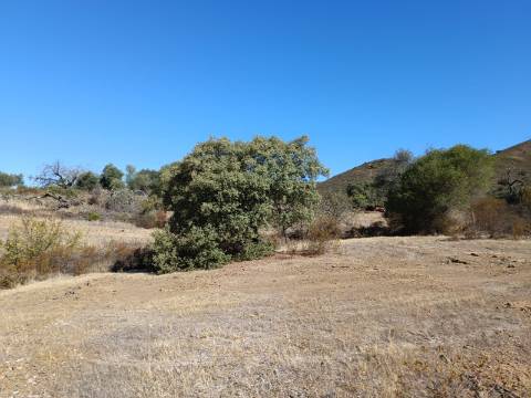 TERRENO COM 83.240 M2 - JUNTO A RIBEIRA DE ODELEITE - POSSIBILIDADE DE CONSTRUÇÃO RESIDENCIA E TURISMO EM GALAXES - VAQUEIROS - ALCOUTIM