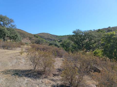 TERRENO COM 83.240 M2 - JUNTO A RIBEIRA DE ODELEITE - POSSIBILIDADE DE CONSTRUÇÃO RESIDENCIA E TURISMO EM GALAXES - VAQUEIROS - ALCOUTIM