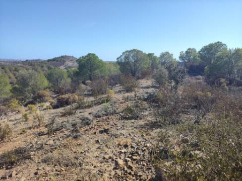 Terreno Rústico com 90680 m2 no Pisa Barro Baixo , Castro Marim