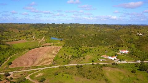 Terreno Rústico com 90680 m2 no Pisa Barro Baixo , Castro Marim