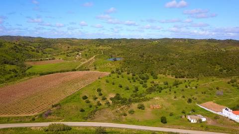 Terreno Rústico com 90680 m2 no Pisa Barro Baixo , Castro Marim