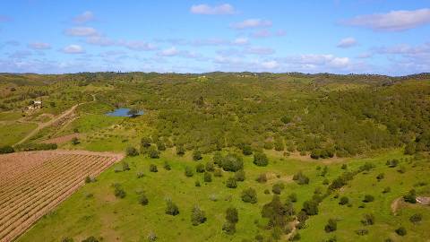 Terreno Rústico com 90680 m2 no Pisa Barro Baixo , Castro Marim