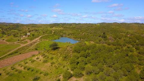 Terreno Rústico com 90680 m2 no Pisa Barro Baixo , Castro Marim