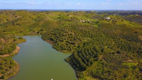 Terreno Rústico com 90680 m2 no Pisa Barro Baixo , Castro Marim