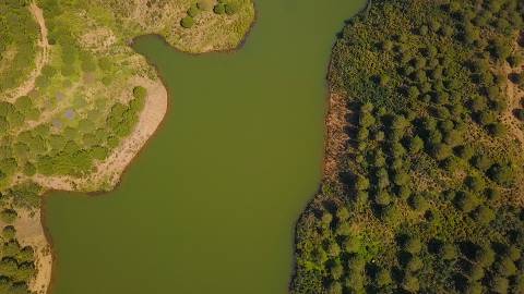 Terreno Rústico com 90680 m2 no Pisa Barro Baixo , Castro Marim