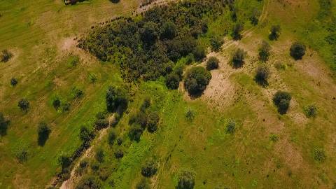 Terreno Rústico com 90680 m2 no Pisa Barro Baixo , Castro Marim