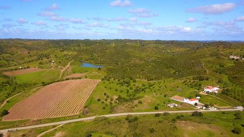 Terreno Rústico com 90680 m2 no Pisa Barro Baixo , Castro Marim