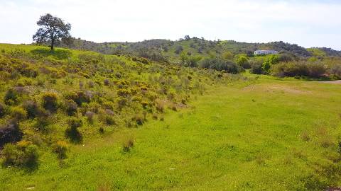 Terreno Rústico com 90680 m2 no Pisa Barro Baixo , Castro Marim