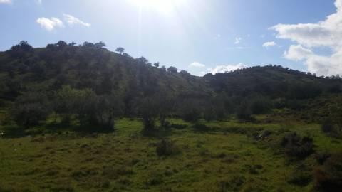Terreno Rústico em Alcoutim